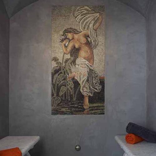 steam room star ceiling steam room star ceiling