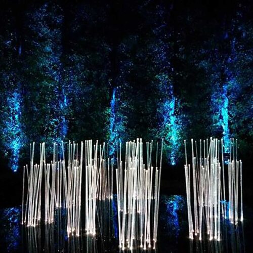 Fibre-optic-lighting-at-the-Botanics2